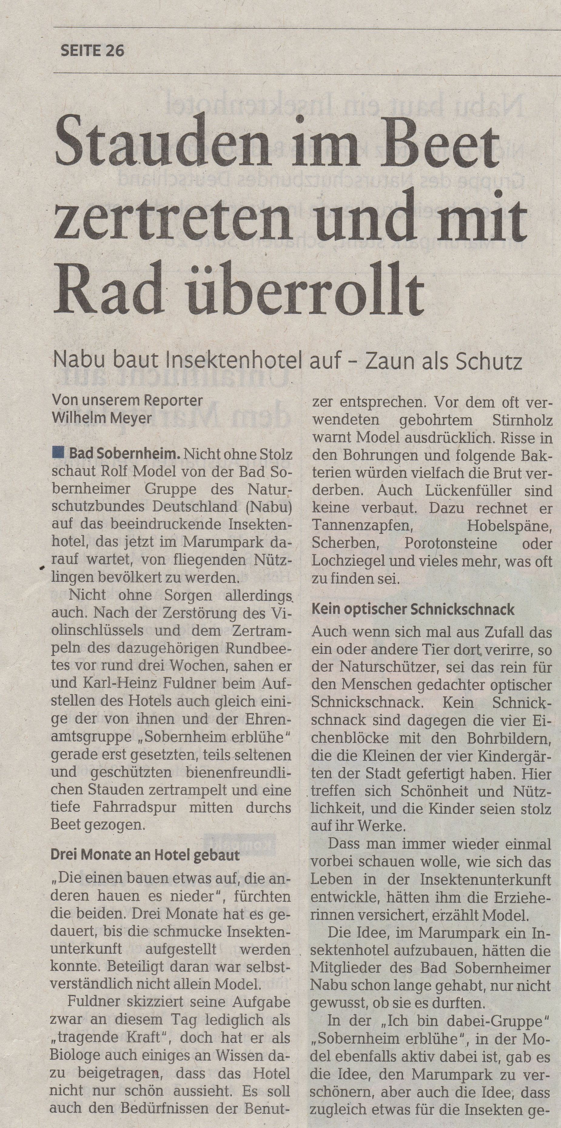 Insekt 01 Linke Seite
